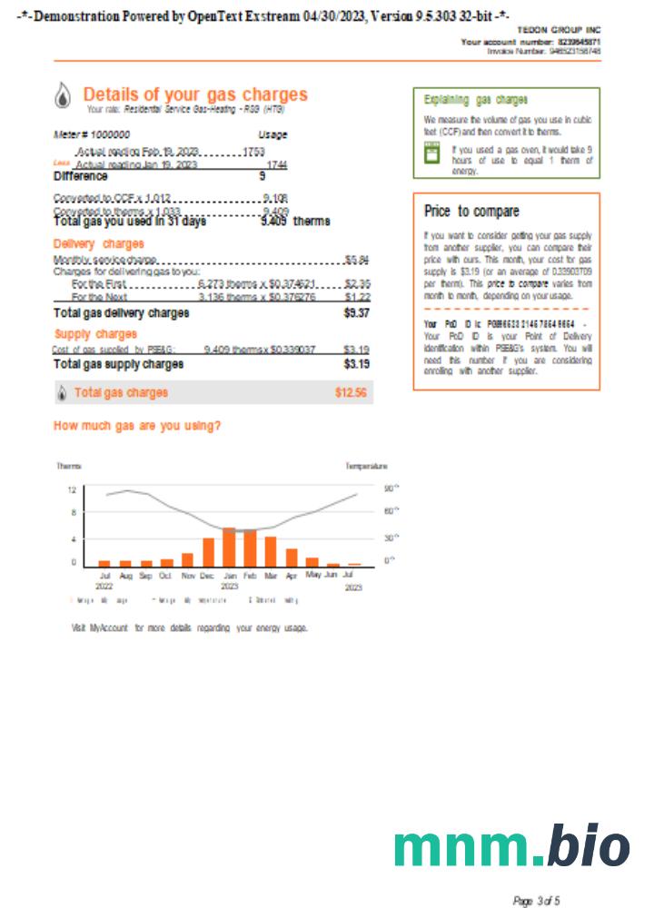 New York PSEG rachunek za usługi komunalne, page 3, SCR